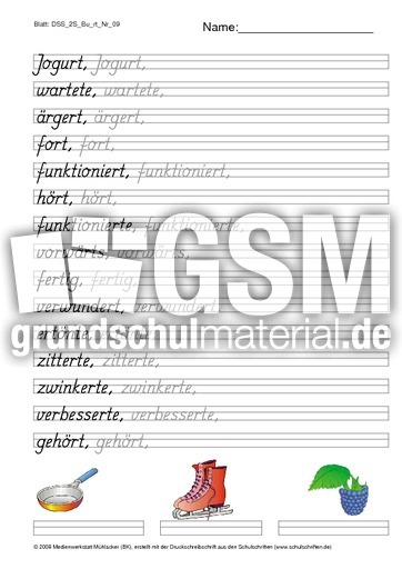 DSS_2S_Bu_rt_Nr_09.pdf
